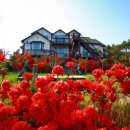 고고씽펜션 이미지