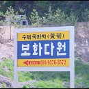 보화다원 이미지