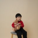 차카스튜디오