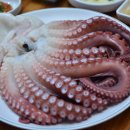 청수횟집 - 강남구 테헤란로25길 9 | 청수횟집
