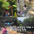 나비농원 | 서울 근교 계곡있는 카페 포천 토일농원