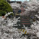 효돈동-4 이미지