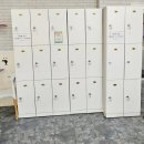 캣카페 낭만고양이 이미지