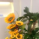 축복미용실 이미지