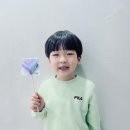 아니앤수