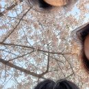 (주)유원에너지 | 템페스트 RE: Full of Youth 활동 사녹 미니팬미팅 후기 WE ARE THE YOUNG Unfreeze