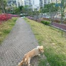 두리축산고기 이미지