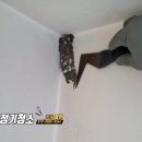 달서구 상가內 다용도실 청소 후기