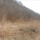 한반도면-1 이미지