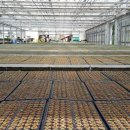 영광센터 3호 이미지