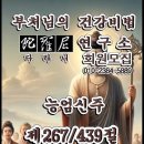 기라야미267) 이미지