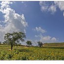 연천 호로고루 이미지