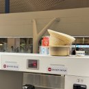 대운약국 | 미국 여행, 록펠러전망대 - 뉴욕 도서관. (ft. 비행기에서 오로라봄?)