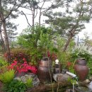 샘물농장 이미지