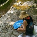 고병계곡 | [정선] 여름휴가 우연히 찾게된 고병계곡 조용하고 놀기 좋아요👍