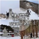 만경대 | 태백산 당골광장 코스(최단 코스) 천제단~만경대~당골광장 주차장