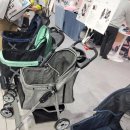 만금동물병원 | 가성비 좋은 제스파 피카노리 워크 로드 반려동물 댕카 산 후기