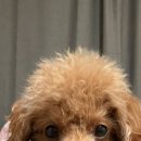 K마트 호평점