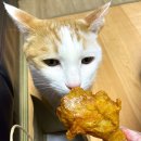 페리카나 치킨 양념 후라이드 반반 다리+날개 솔직 후기 (메뉴추천/가격/할인쿠폰/양반후반)