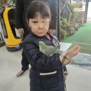 김포동물약국 | 김포 초대형 수족관 매장 카페 체험 아이와 가볼만한곳 물고기 뜰채체험 2천원