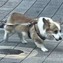 비엠코리아 이미지