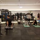 피티포유 이미지