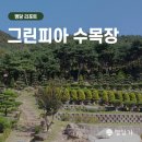 그린피아수목장 이미지