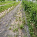 WR(인천광역시 서구)-[로봇랜드로249번길]-하-9 | 망가진 인터로킹블럭 보수 보도블록 부분 재시공