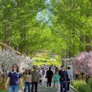 송이마을사슴농장 이미지