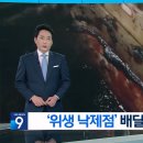 혐) "곰팡이 낀 도마 사용"…위생 불량 배달업소 무더기 적발 이미지