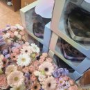 서석초등학교 병설유치원 이미지