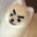 이뮨베이커리카페북구화봉점 | 7월 셋째 주