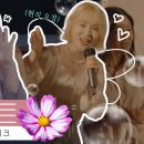 화이라이트