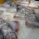 홍어한마리 이미지