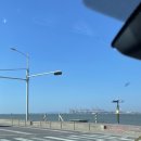 [리뷰] 거북섬 가볼만한곳 &#34; 르플로 &#34; 시흥 브런치 내돈내산 후기