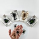 미화장식 이미지