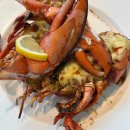 브라보 월드 PC 이미지