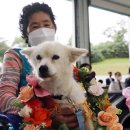 백구로-1 이미지