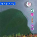 산 꽃 그리고 당신 / 전호영 시집 (전자책) 이미지