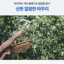 추천] 찬물 마실 때 찌릿하다면 - 약국 판매 유어그린 센시가드 고불소 치약 한 달 사용 후기[내돈내산]