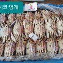(주)명문교역 이미지