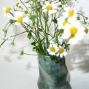 수원-1385 이미지