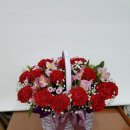 카네이션(감사의 꽃선물) - 경산꽃집 경산꽃배달 사동그린꽃 이미지