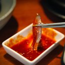 도도참치 이미지