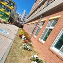 전주자연초등학교 이미지