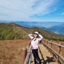 다누리센터안내소 | [충북 단양/소백산] 천동-어의곡 등산코스 비교▶다리안-천동탐방센터-비로봉-어의곡탐방센터-새밭주차장