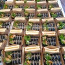 퇴계원읍종합행정타운 이미지