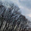 바닷가언덕 이미지