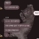 [일상] 2nd 블로그 with 구직일기?