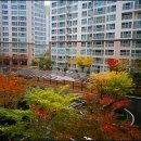 단지내OK공인중개사사무소 이미지